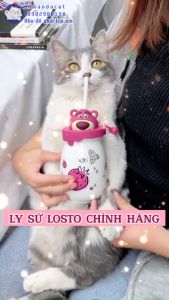 [Hàng sẵn] Ly Sứ Gấu Dâu Lotso Chính Hãng MINISÔ Cốc Sứ Lotso Đáng Yêu Chính Hãng Quà Tặng Sinh Nhật Quà Lưu Niệm Kèm Nắp Và Ống Hút
