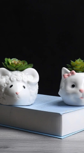 Chậu Trồng Sen Đá Xương Rồng Hình Cừu Mèo Sứ Cao Cấp Có Lỗ Thoát Nước Để Bàn Cực Xinh