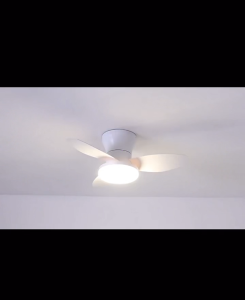 Ceiling Light Remote-controlled Ceiling Fan Lamp LED Light Strip Fan Bedroom Fan Light Silent Powerful Ceiling Light Integrated Ceiling Fan and Light Fixture