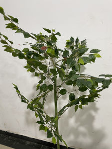 Glossy Camphor Leaf Branch Artificial Camphor Leaf Single Branch Camphor Tree Beautification Camphor Leaf for Garden Landscape