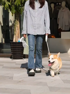 SG Ready Stock 5M Retractable Dog Leash Reflective Safety Walking Rope One Button Lock Pet Outdoor Lead