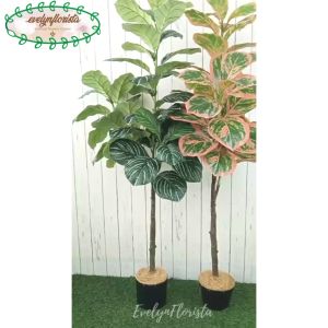 Pohon Imitasi Tanaman Hias Daun Karet Merah Muda / Hijau Tua X3 T140 Latex Pot Dasar Hitam Hiasan Rumah