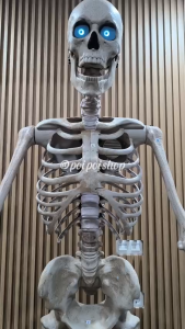 Patung Tengkorak Raksasa 25 Meter Halloween Jumbo  Hiasan Dekorasi Halloween Cafe Club Termurah Harga Grosir Kualitas Tinggi
