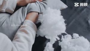 [Big size]Cushions Thickened 10cm Recliner Tatami Thickened solid wood sofa cushion，Chair Cushion Soft Foldable Pearl Cotton