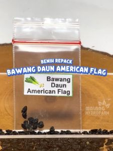 Benih Bawang Daun American Flag Unggulan Berkualitas bibit biji leek large repack prei raksasa amerika hydroponik hidroponik