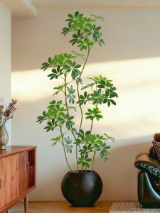 Antique Style Artificial Plant Fake Ficus For Large Spaces