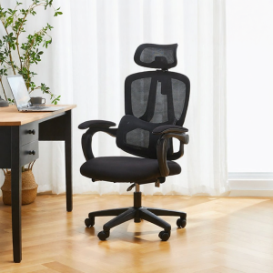 BOJOJAN | Ergonomic Reclining Office Chair with Back Support