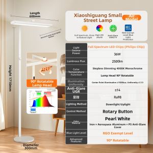FSL | Eyes-Protecting Full Spectrum Learning Desktop Lamp