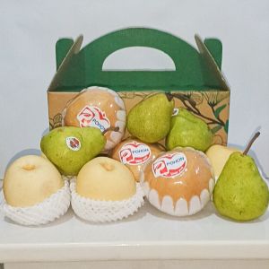 Buah Pear 3 Warna - Paket 3 kg Mix Buah Pear Century Pear Packham dan Pear Singo Kemasan Hampers Boks Ibaza fruitsBOX