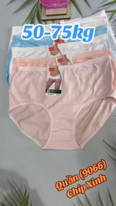 Combo 10 Quần Lót Nữ BigSize Cotton Cao Cấp (9066) Size 60-90 Kg Chất Vải Mềm Mịn Thoáng Mát Co Giãn Tốt - Shop Kim Yến