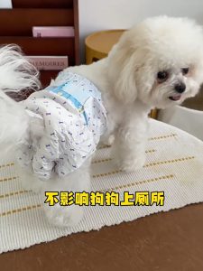 HIPIDOG Pet Disposable Diapers (Male & Female Pet Diapers) 10pcs/1Pack