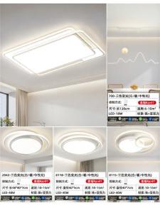 Changhong | New Hall Ceiling Light Modern Minimalist
