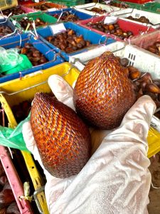 BUAH FRESHHH SALAK MADU PONDOH INDONESIA RANGUP TAK KELAT