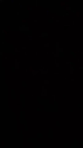 Senter Police LED 36W COB Flashlight with High Voltage - USB Charge Compatible for Self-Defense