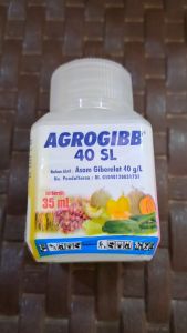 AGROGIBB 40 SL 35 ML PUPUK ZPT ZAT PENGATUR TUMBUH TANAMAN // AGROGIB