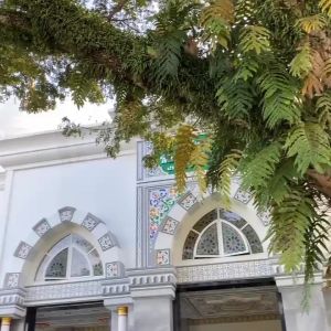 Kaos Kaki Muslimah Jempol Motif KOSAKI AUTHENTIKO & Kaos Kaki Premium-Brick Brown