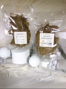 ดอกเชื้อ 50 กก ต้านเชื้อ โควิด Artemisia annua Linn บำรุงปอด สมุนไพร โกฐจูฟู ลัมพาแห้ง ดอกสีขาว