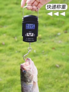 Portable Handheld Electronic Scale Precision Weighing Spring Balance Fishermans Scale Small Home Use High Accuracy Kitchen Tool