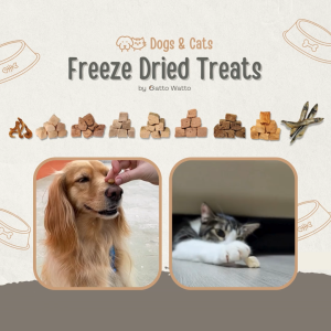 [Small Packs] Freeze Dried Chicken Chicken Liver Duck Beef Beef Liver Shishamo Krill Salmon Treats for Cat & Dog