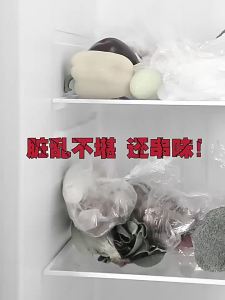 HANSHILIUJIA | Antibacterial Food Grade Sealed Fresh Box