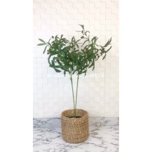 Pohon Hias Plastik Zaitun Tangkai X2 Artificial Cover Eceng Gondok Dekorasi Ruangan Aesthetic