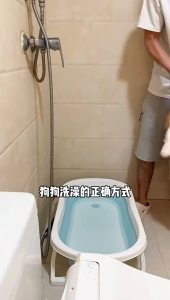 1 คู่ สัตว์เลี้ยงสุนัขแมวอาบน้ำถุงมือ ถุงมือนวดทำความสะอาด ซิลิโคนถุงมือแปรงขน (พร้อมส่ง) CW122