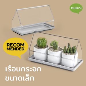 Micro Greenhouse - Plant Tray เรือนกระจกสำหรับปลูกต้นไม้ขนาดเล็ก (ไม่มีกระถางด้านใน) Qualy (ควอลี่)