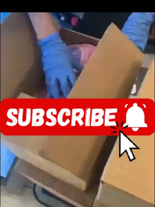 Japan HAKKA Mint Oil 100% Pure Sanrio Characters Hello kitty Spray 11.5ml