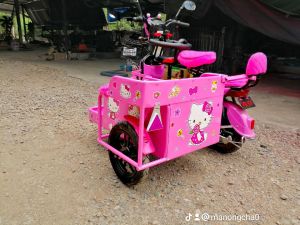 ซาเล้งจิ๋ว ซาเล้งรถไฟฟ้า