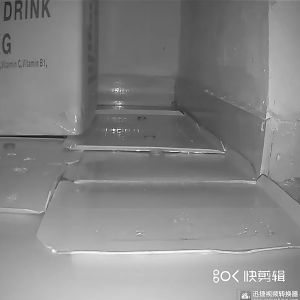 10PCS กาวดักหนู แบบสำเร็จรูป เหนียวหนึบพิเศษ ติดทน ไม่ไหลเยิ้ม ปลอดสารพิษ ใช้งานง่าย เก็บได้นาน