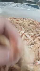Dried Shrimp (HIPON WALA ASIN)