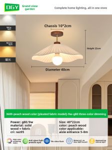DGY | Modern Simple Style LED Ceiling Light