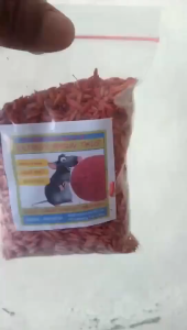 racun tikus bentuk padi // obat tikus // racun tikus paling ampuh