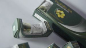 Obat Tetes Telinga Obat Congek Telinga Bernanah Infeksi Telinga Curek Telinga Berdengung Obat Telinga Sakit Telinga Telinga Budeg Telinga Sakit Bisa Untuk Anak Dan Dewasa Propolis Brazil SM