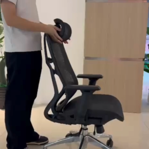 Newstar AeroFlex Ergonomic Mesh Chair Full Adjustable Support Home Office Chair & Study Chair 2 year warranty