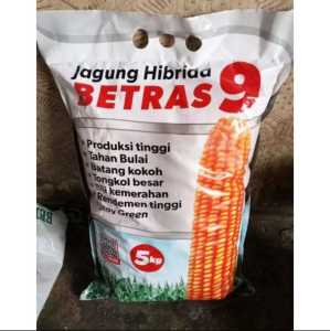 BENIH JAGUNG HIBRIDA BETRAS 9 KEMASAN 5KG ORIGINAL