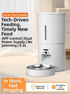 Micky Cat | Camera Visibility Dual Bowl Automatic Feeder 304 Stainless Steel