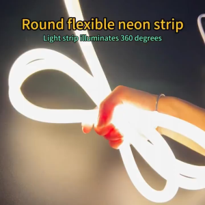 Led Strip Light For Room Light 220V IP65 Waterproof LED Lights Flexible Rope Tube Neon Light