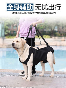 Full Body Aid Belt for Dogs Stairs Recovery Helper Elderly Dogs Disabled Paralyzed Front Rear Legs Weak Post Surgery Recovery Tool