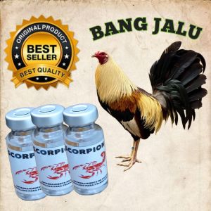 Doping Ayam Scorpion xT Juaranya ayam petarung taji Super agresif