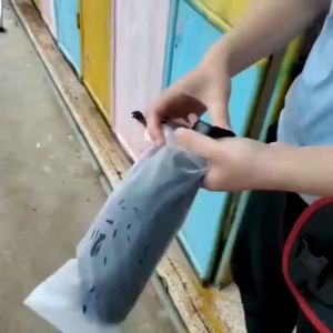 10Pcs Translucent Waterproof Umbrella Bags: A Must-Have Accessory