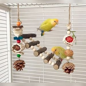 🇸🇬 Training Bridge Stands Combo Toys for Bird Parrots Parakeets Cockatiels and Conures