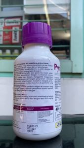 Insektisida Pyrinex-C 550ec pengendali penggerek buah dr Royal Agro