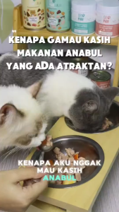 DR PAW - MAKANAN ANJING KUCING BASAH KALENG - Sup Susu Ayam
