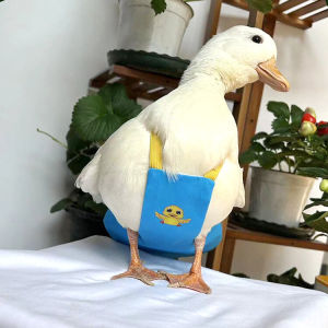 Adorable Duckling Diaper Waterproof Pet Clothes Civilized Poo Bag Pullable Pet Duck Shit Bag Goose Proof Urinal Pants