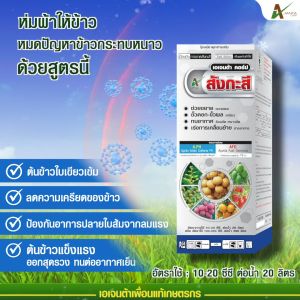 สังกะสี ปุ๋ยน้ำทางใบ แก้ปัญหาใบแก้ว ใบลาย ใบเหลือง ป้องกันต้นพืชแคระแกร็น ต้านหนาวจัด ทนร้อนจัด ขั้วเหนียว (500 ซีซี.)