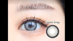 SWAN 2pcs Gray Blue Chocolate Green Contact Lenses: A Yearly Use Guide