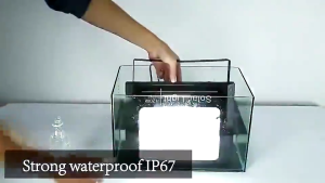 High-Intensity LED Solar Emergency Floodlight with Advanced LED Technology and IP67 Waterproof Rating | 300W 1 LED 1 Solar Panel | 200W 1 LED 1 Solar Panel | 200W LED 2 Solar Panel | Solar Flood Light LED Outdoor Waterproof Street Lamp High Brightness
