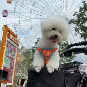 Bello SP02FD Newest Pet Stroller Detachable Pet Lightweight Portable Small Cart Pusher For Dog Cat Bag Separation Carrier Cage Fordable Small Pet Trolley VMI