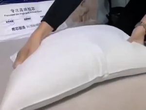 1Kg Hilton Pillow Buy 1 Take 1 Sleeping Pillow Hotel Pillow Fiber Pillow High Quality Pillow 48*74cm